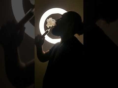 10 Colors Metal Disposable Pod System 4000 Puffs Flavored Electronic Cigarette